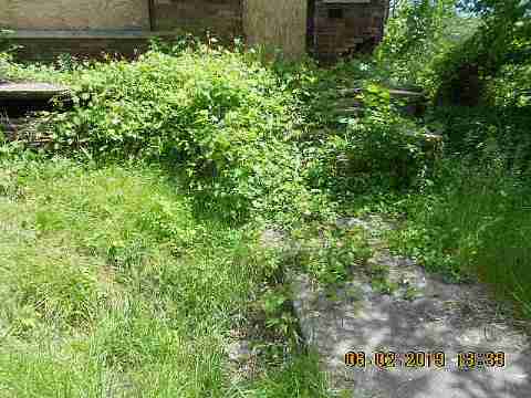 12122 Sorrento (3)_m.jpg